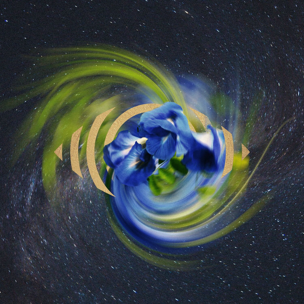 Album cover of SANCTUARY