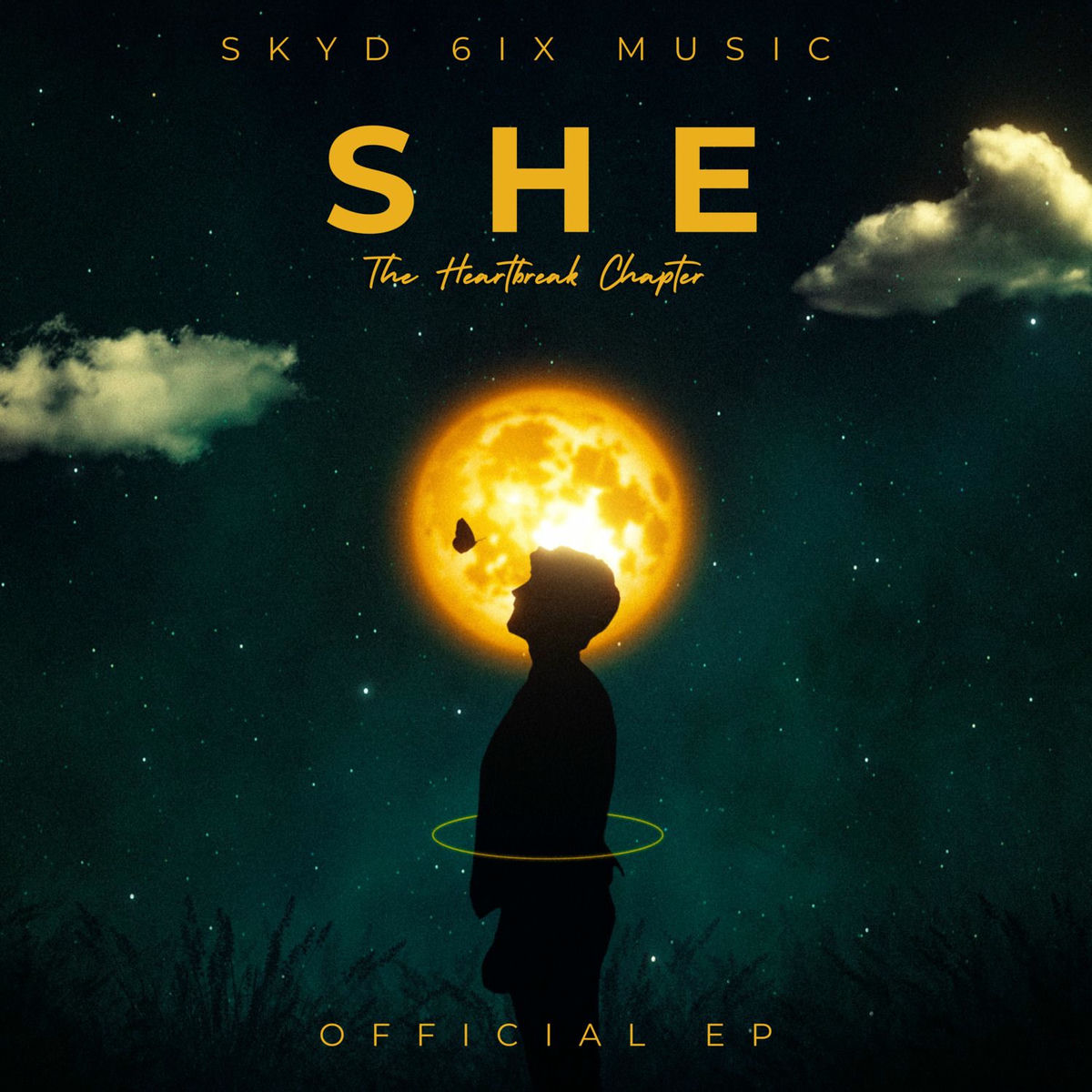 Album cover of SHE - The Heartbreak Chapter