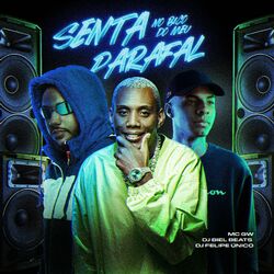 Cover of Senta no Bico do Meu Parafal