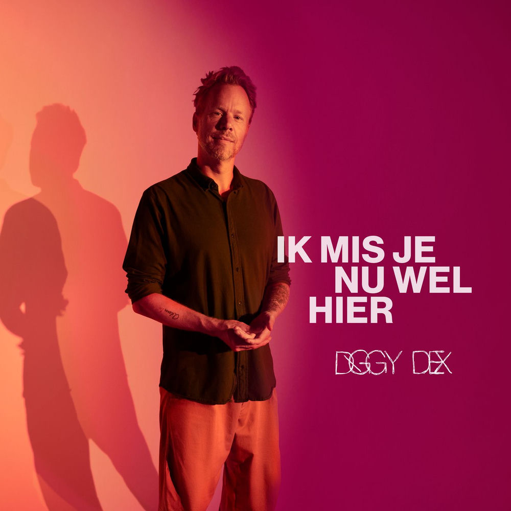 Ik Mis Je Nu Wel Hier cover