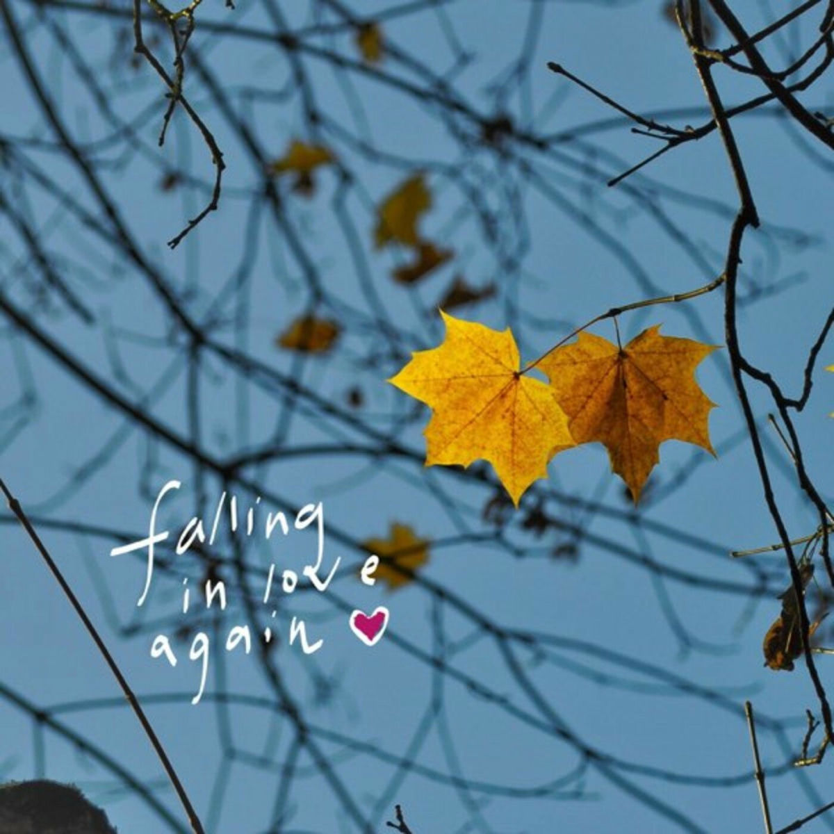 Album cover of falling in love again
