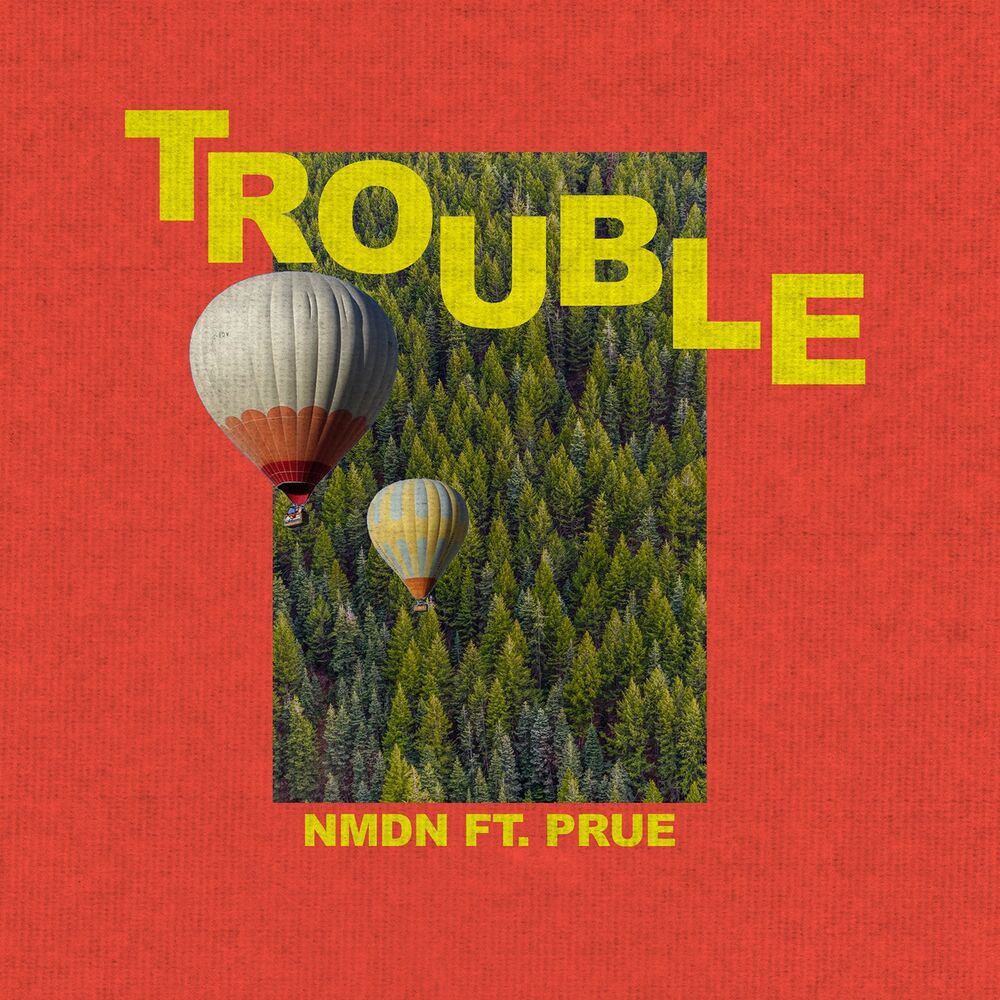 Picture of Trouble