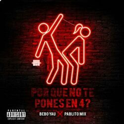 Cover of Por Que No Te Pones En 4?