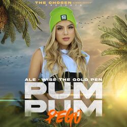 Cover of Pum Pum Pego