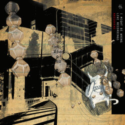 Cover of I Might Be Wrong