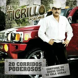 Cover of 20 Corridos Poderosos