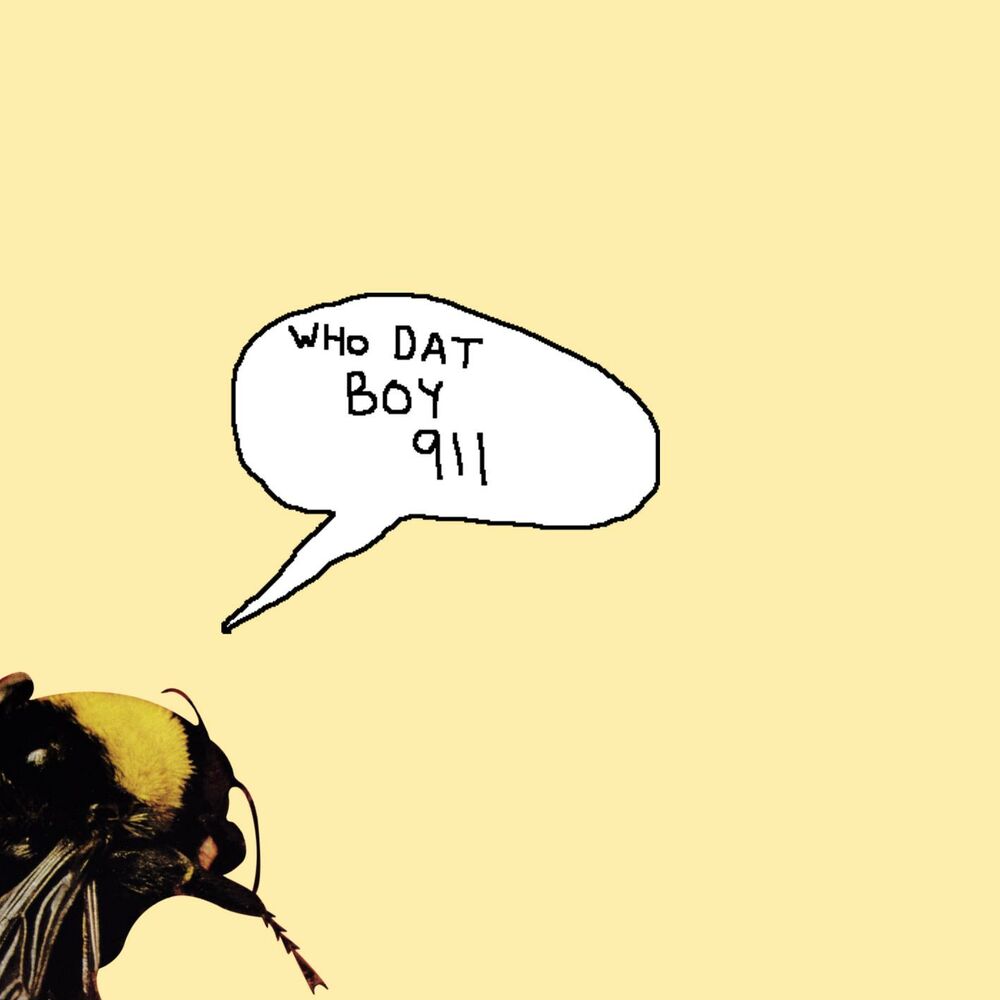 Picture of Who Dat Boy / 911