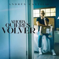 Cover of Ahora Quieres Volver