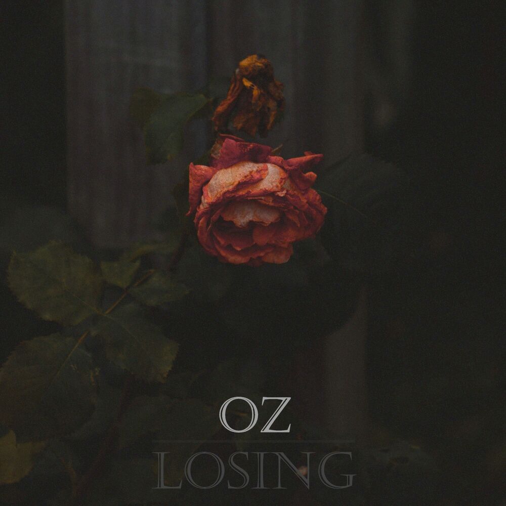 Picture of Losing