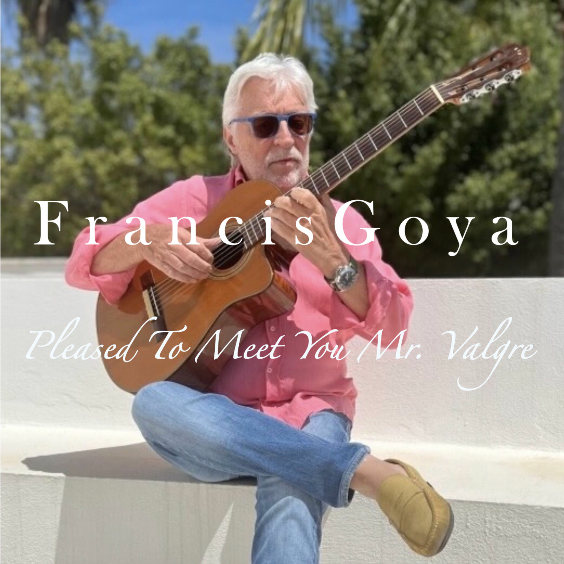 Album cover of Pleased To Meet You Mr. Valgre