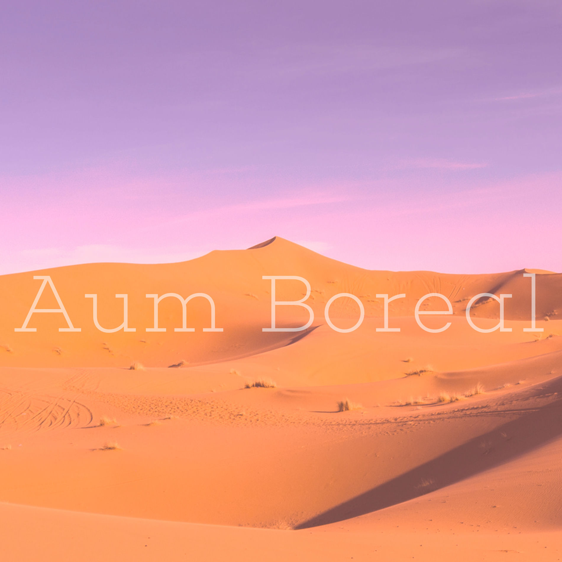 Album cover of Aum Boreal