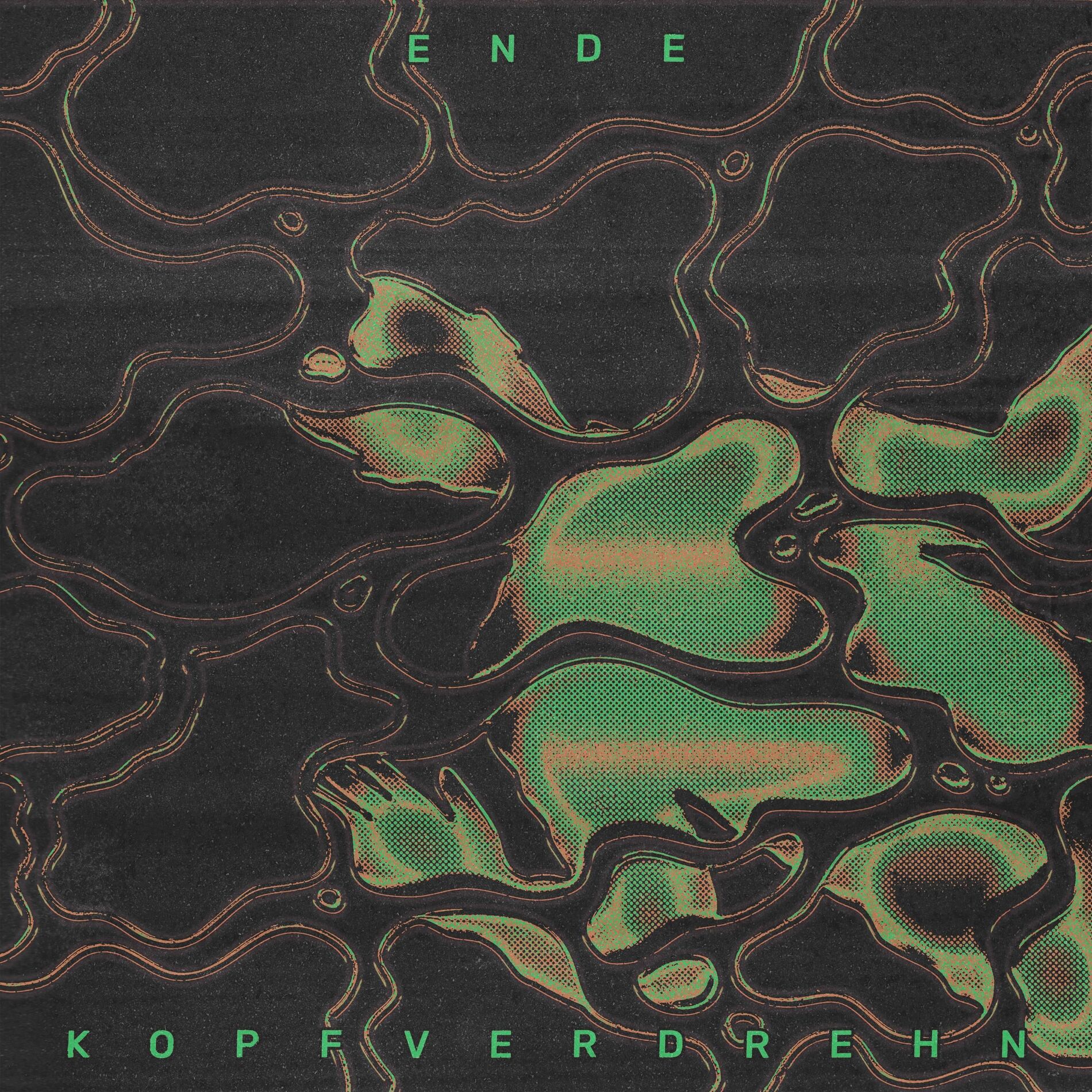 Album cover of kopfverdrehn