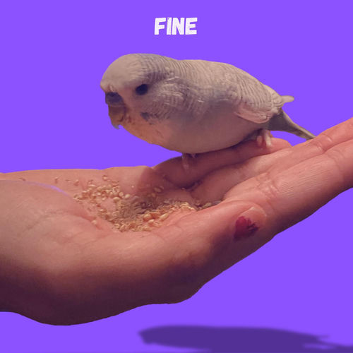Fine