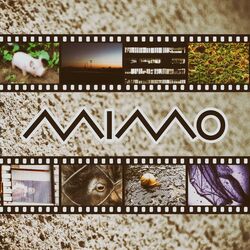 Cover of MIMO