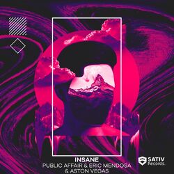Cover of Going Insane