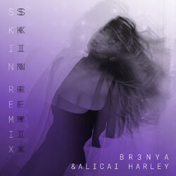 Cover of Skin (Remix)