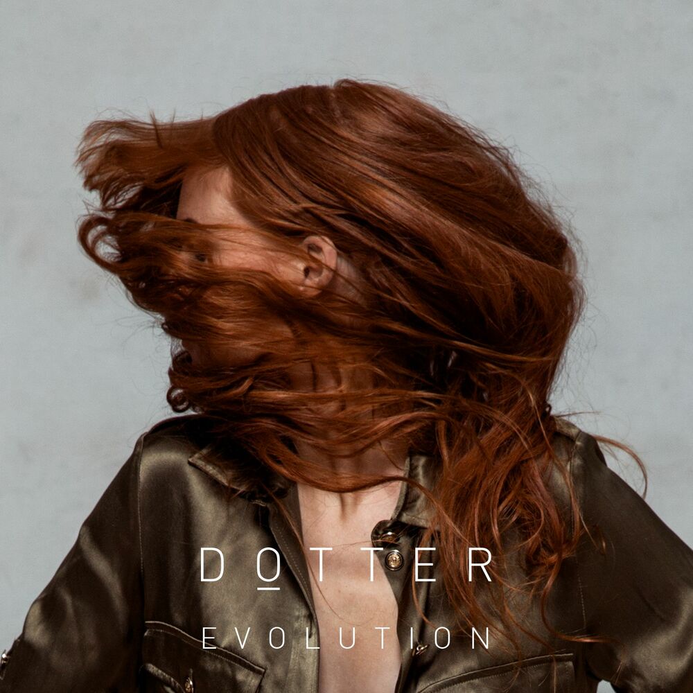 Picture of Evolution