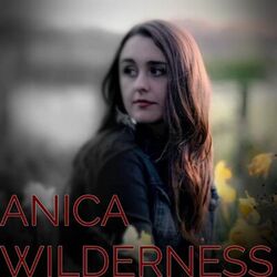 Cover of Wilderness