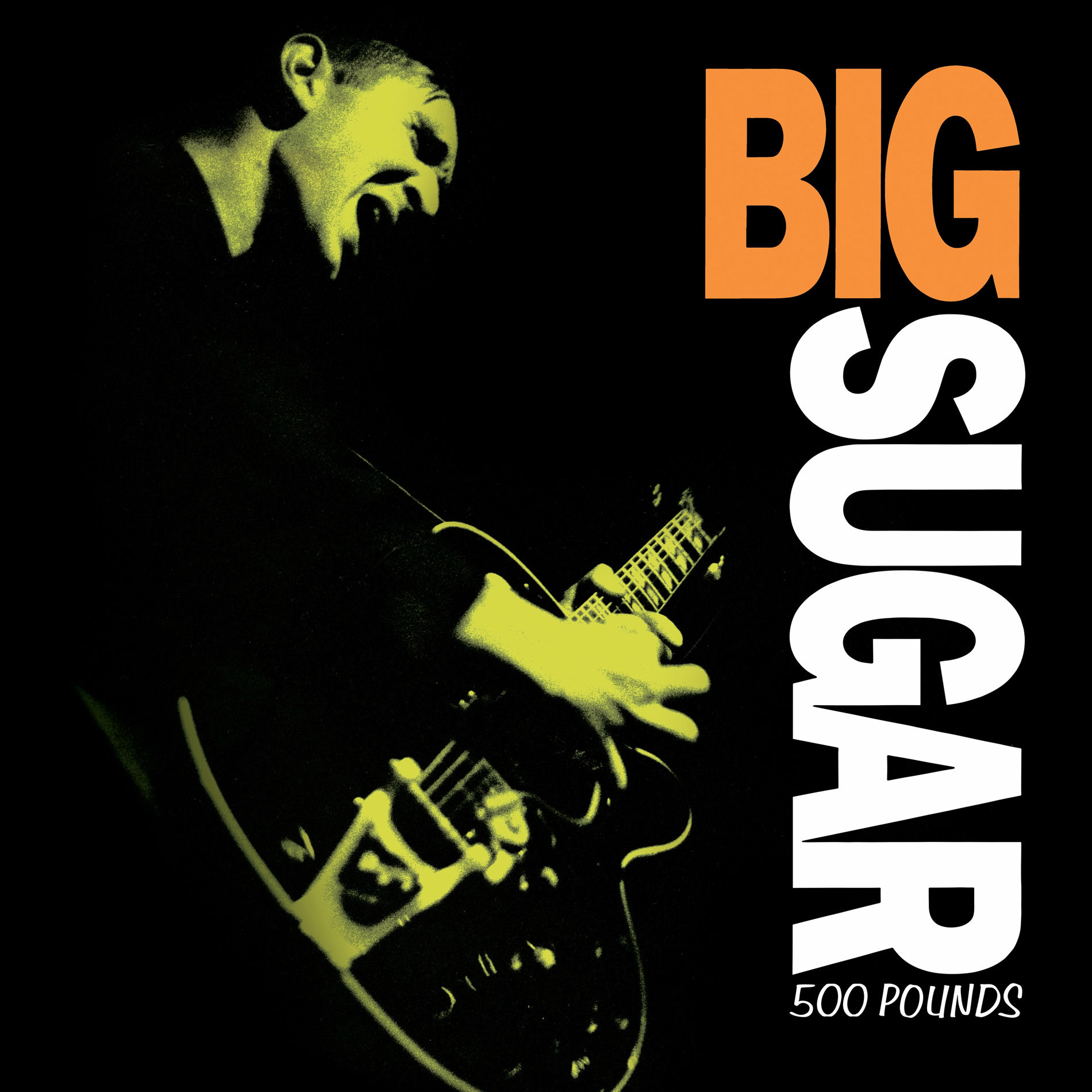 Album cover of 500 Pounds