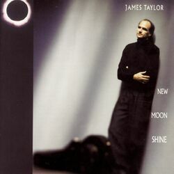 Cover of New Moon Shine