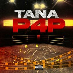 Cover of P4P