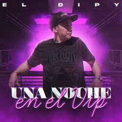 Cover of Una Noche En El VIP