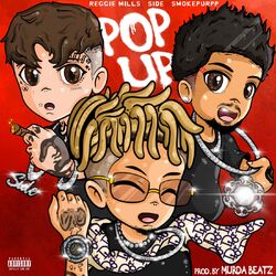 Cover of Pop Up