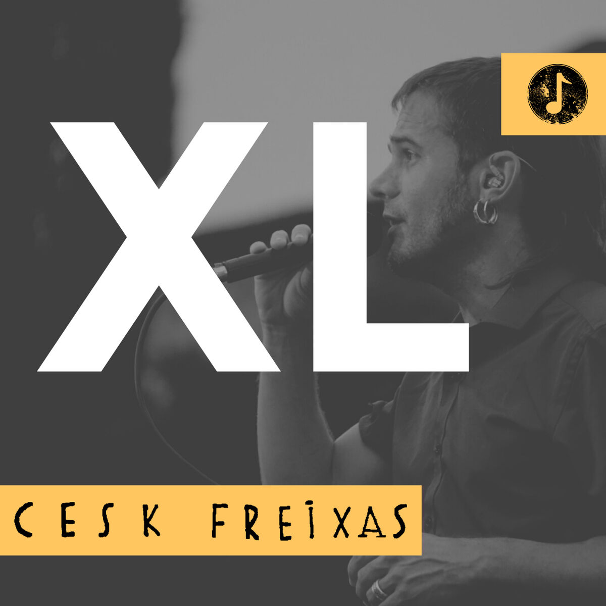 Album cover of XL