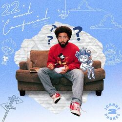 Cover of 22 and Confused