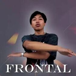 Cover of Frontal