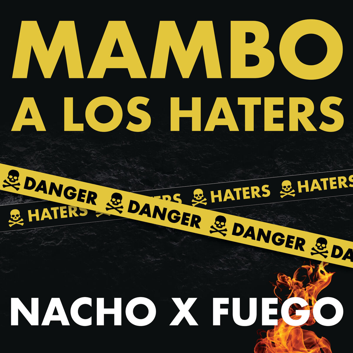 Album cover of Mambo A Los Haters