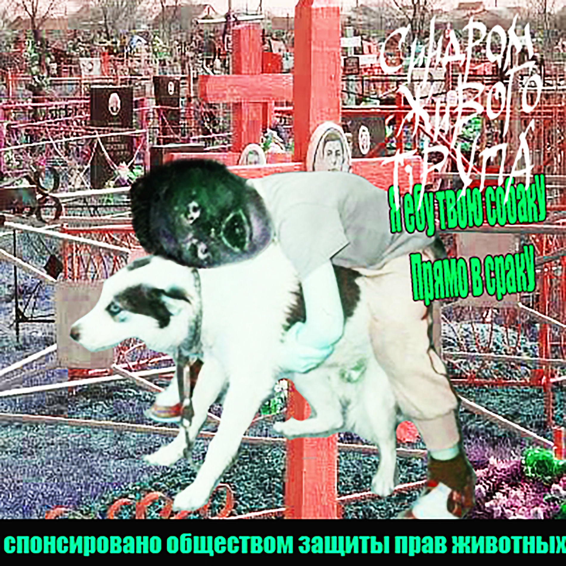 ебёт собаку 