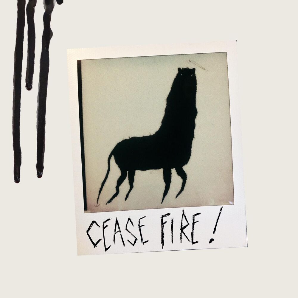 Picture of Cease Fire !