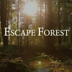 Cover of Escape Forest (Piano Relaxation 1 Hour)