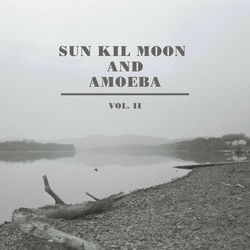 Sun Kil Moon and Amoeba, Vol. II