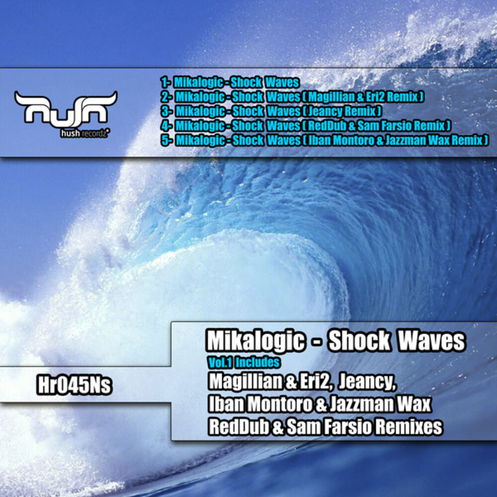 Picture of Shock Waves, Vol. 1