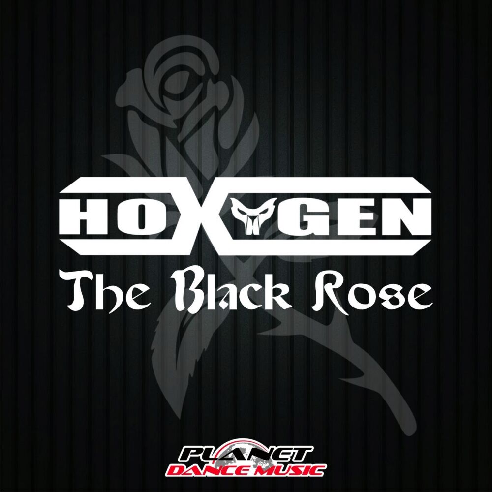 Picture of The Black Rose