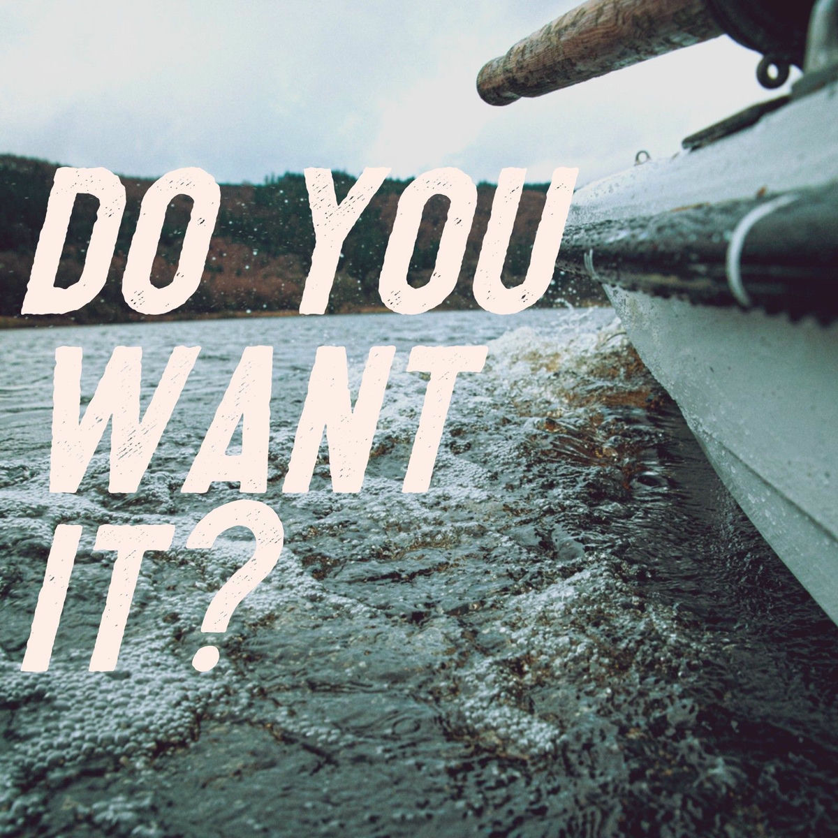 Album cover of Do You Want It?