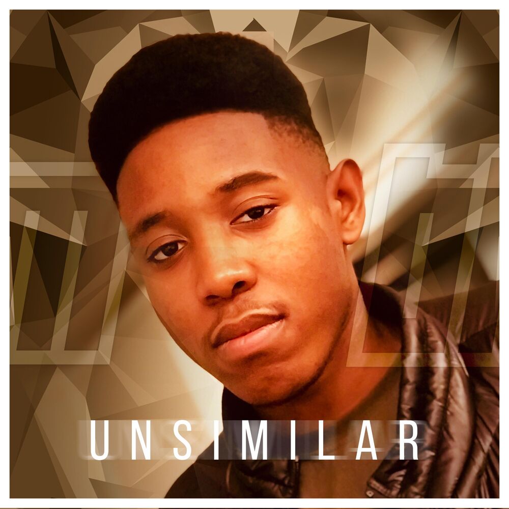 Picture of Unsimilar