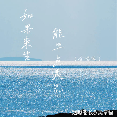 如果来生能早点遇见（合唱版）