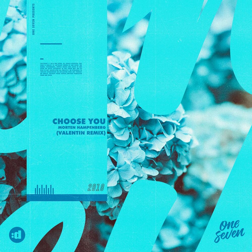 Picture of Choose You (Valentin Remix)