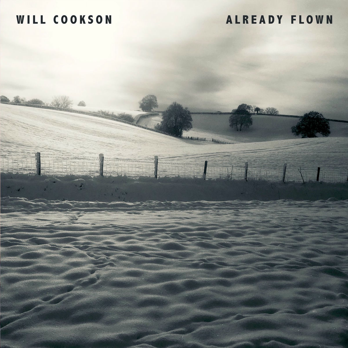 Album cover of Already Flown