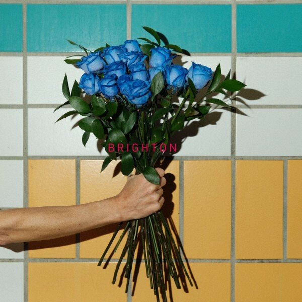 Album cover of Brighton