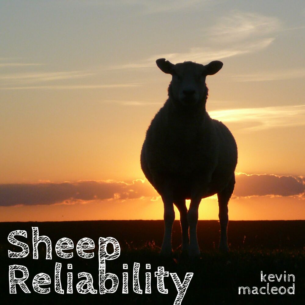 Picture of Sheep Reliability