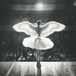 Cover of The Ballet Girl