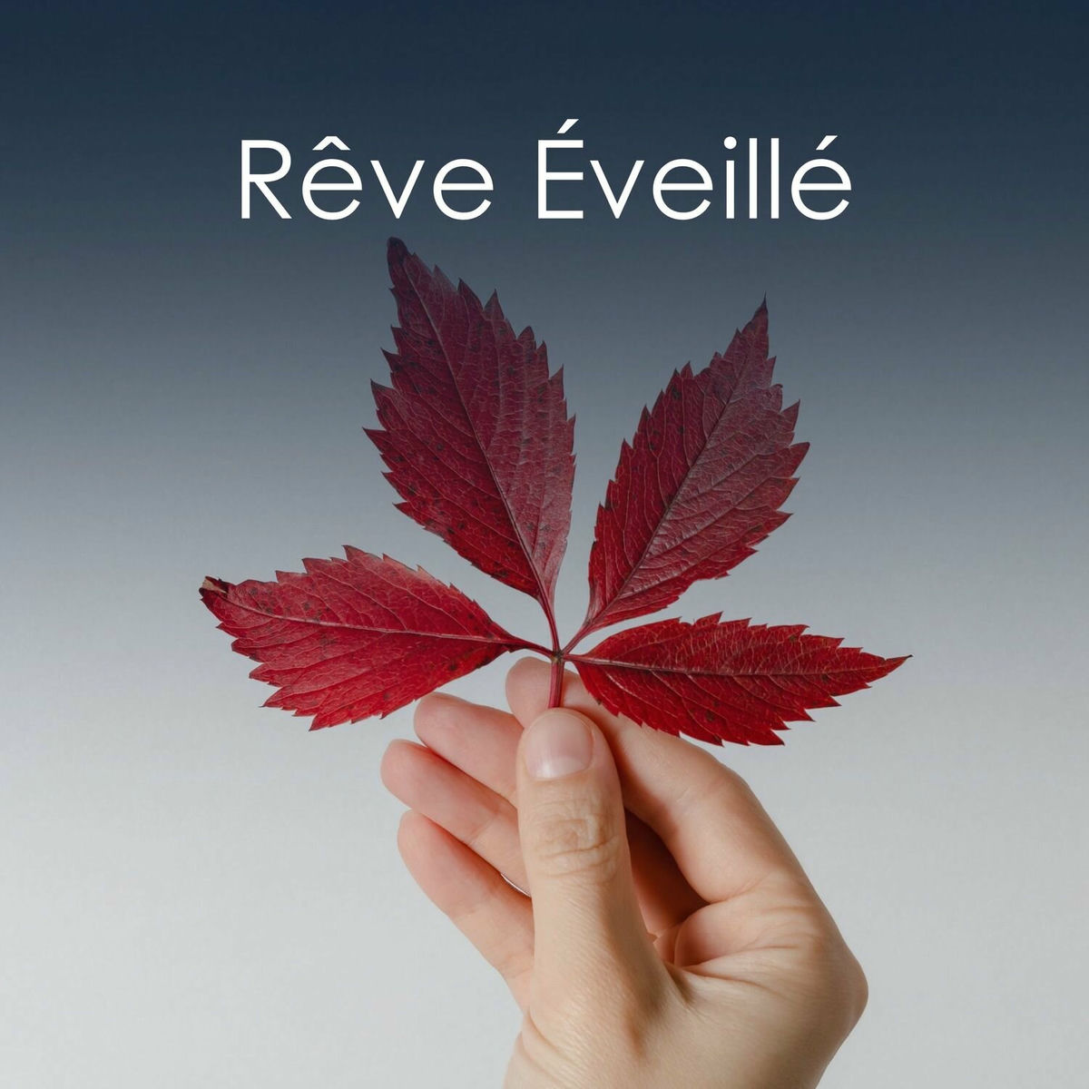 Album cover of Méditation Profonde