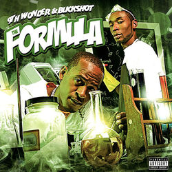 Cover of The Formula