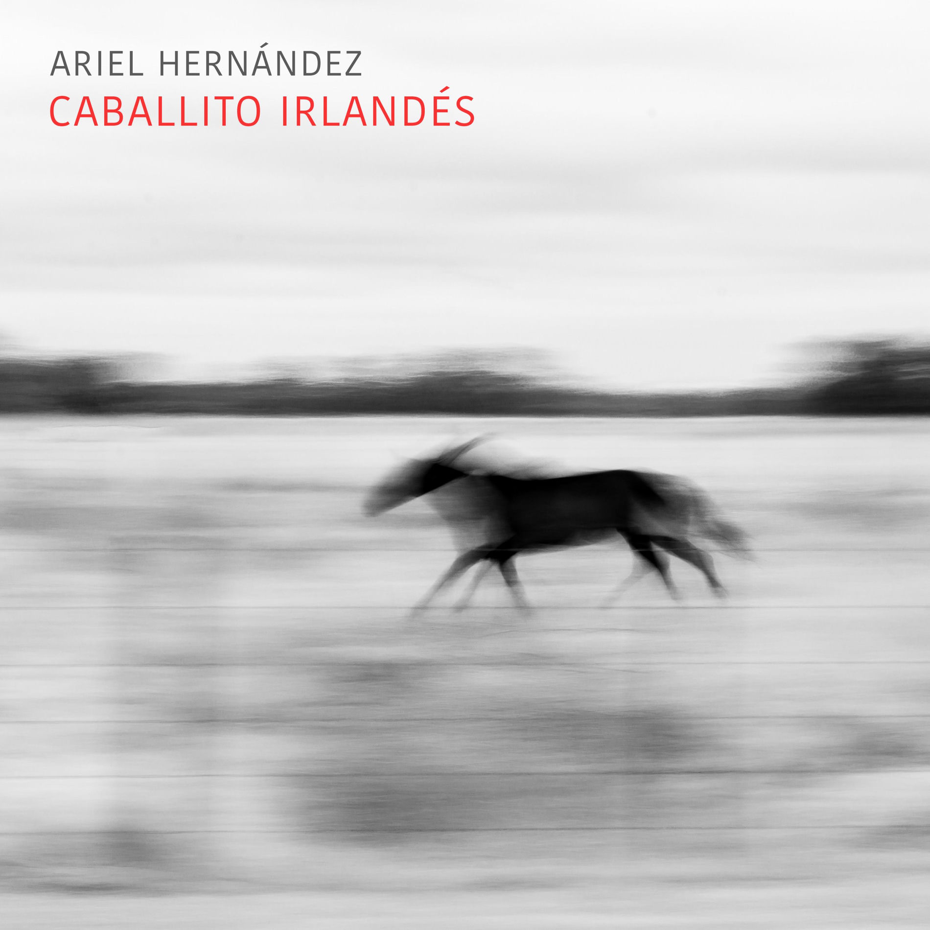 Album cover of Caballito Irlandés