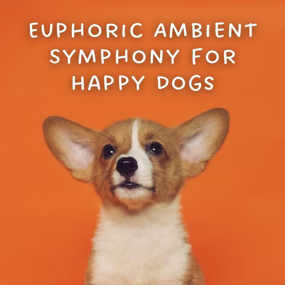 Picture of Euphoric Ambient Symphony for Happy Dogs