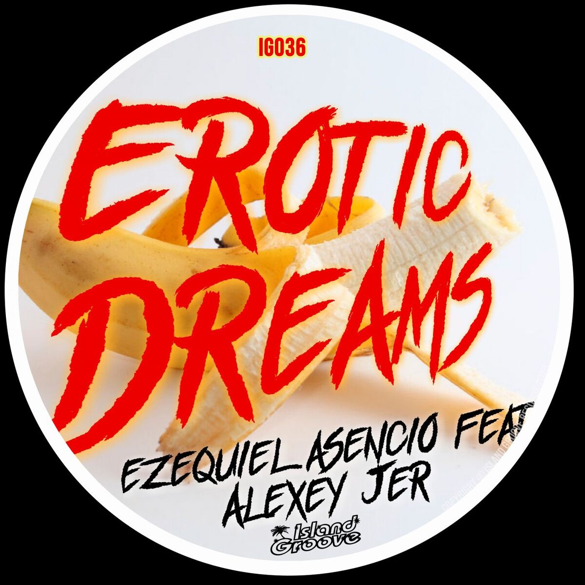 Album cover of Erotic Dreams